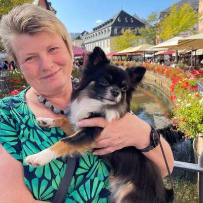 Hundetreffen-Gassirunde mit kleinen Hunden