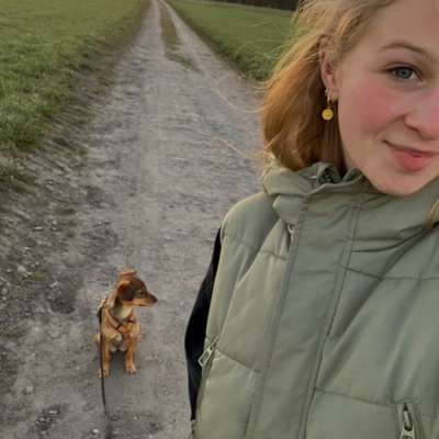 Hundetreffen-Spaziergänge mit kontrolliertem Hundekontakt :)-Bild