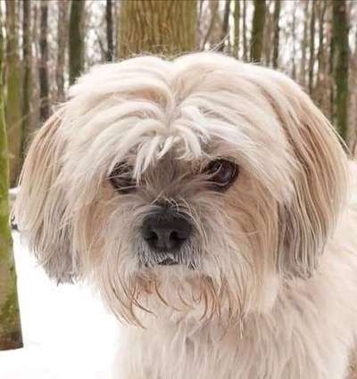 Doppelgänger gesucht !-Beitrag-Bild