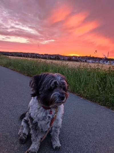 118. Fotochallange-Beitrag-Bild