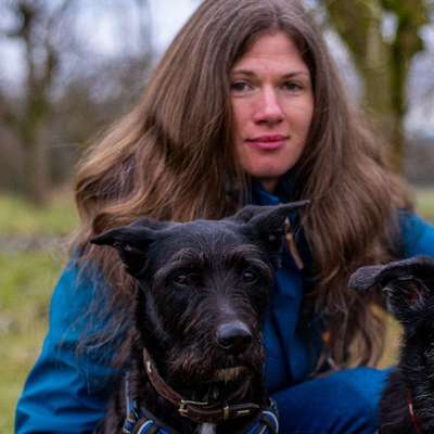 Hundetreffen-Hallo zusammen, vielleicht hat der ein oder andere ja Lust, mal zusammen eine Runde spazieren zu geh-Bild