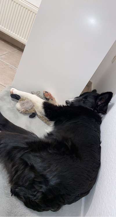 Die unbequemsten und lustigsten Schlafpositionen-Beitrag-Bild