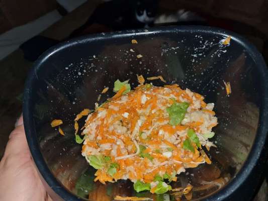 Zeigt her Eure Futternäpfe-Beitrag-Bild