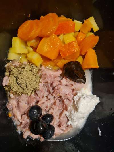 Zeigt her Eure Futternäpfe-Beitrag-Bild