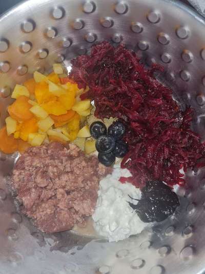 Zeigt her Eure Futternäpfe-Beitrag-Bild