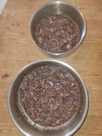 Zeigt her Eure Futternäpfe-Beitrag-Bild