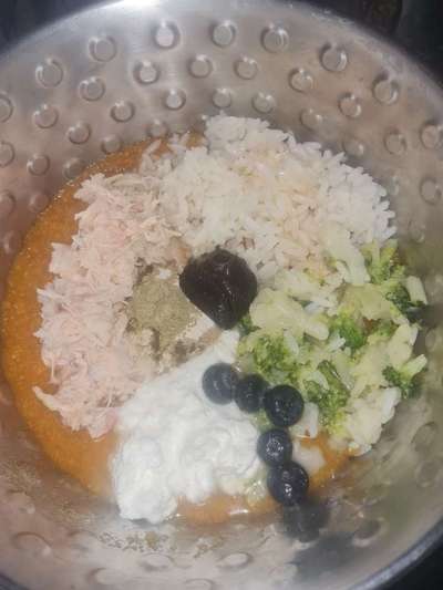 Zeigt her Eure Futternäpfe-Beitrag-Bild