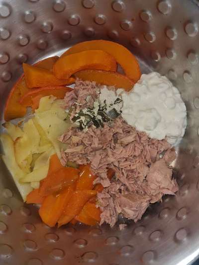 Zeigt her Eure Futternäpfe-Beitrag-Bild