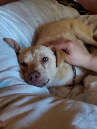 Doppelgänger gesucht !-Beitrag-Bild