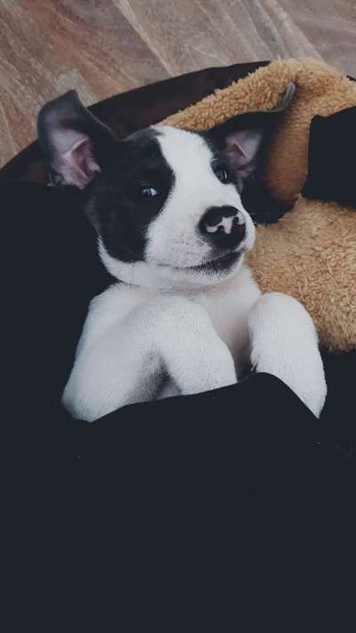 Lieblingsbild-Beitrag-Bild