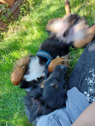 Foto Challenge - Zeigt her eure Bäuche-Beitrag-Bild