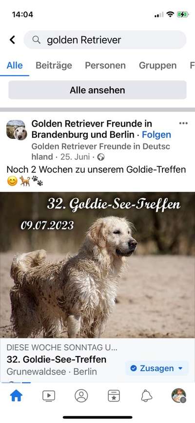 Wo sind die Golden Retriever Liebhaber?-Beitrag-Bild