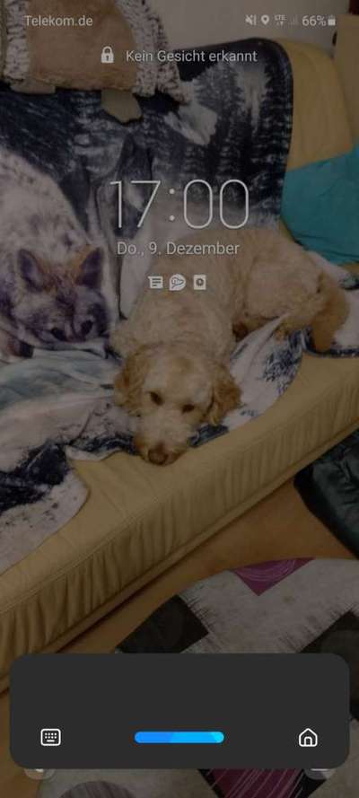 Zeichnungen eurer Hunde-Beitrag-Bild