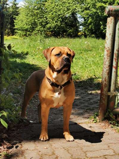 Lieblingsbild-Beitrag-Bild