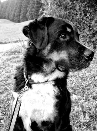 Foto-Challenge 76: Foto in Schwarz-Weiss-Beitrag-Bild