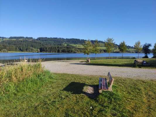 Die wunderschöne Welt mit Hund.-Beitrag-Bild