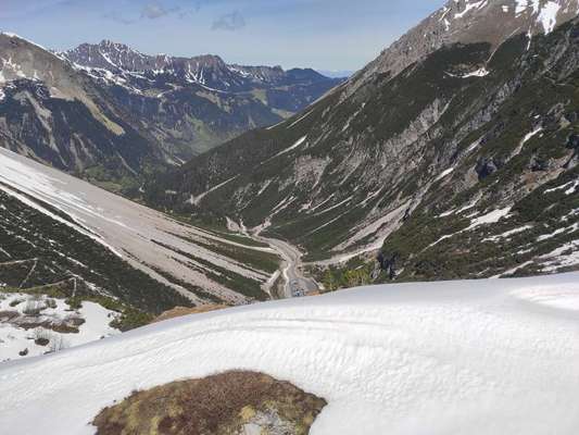 Die wunderschöne Welt mit Hund.-Beitrag-Bild