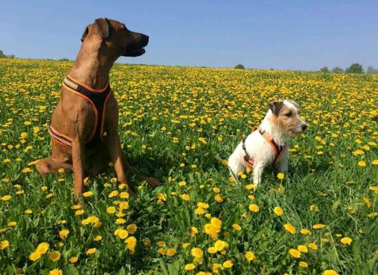 Theos  Fotochallenge Nummer 2-Beitrag-Bild