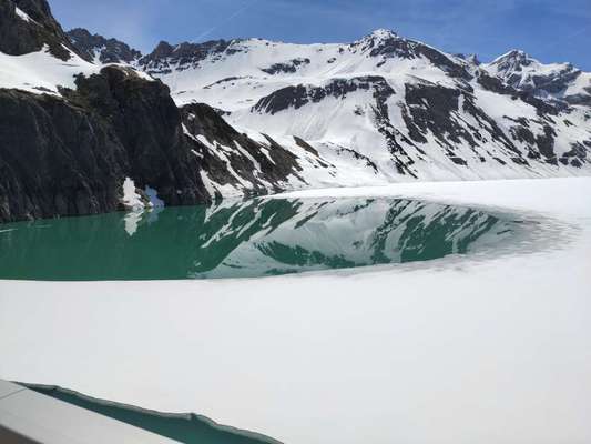 Die wunderschöne Welt mit Hund.-Beitrag-Bild