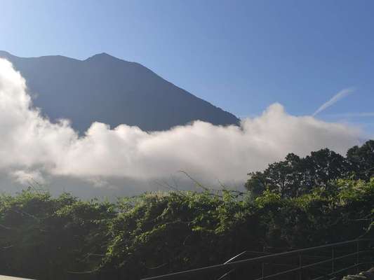 Die wunderschöne Welt mit Hund.-Beitrag-Bild
