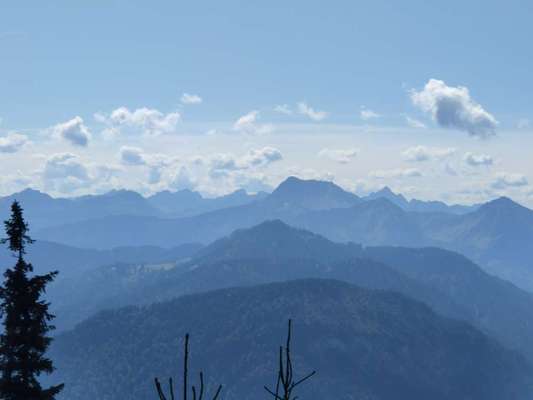 Die wunderschöne Welt mit Hund.-Beitrag-Bild