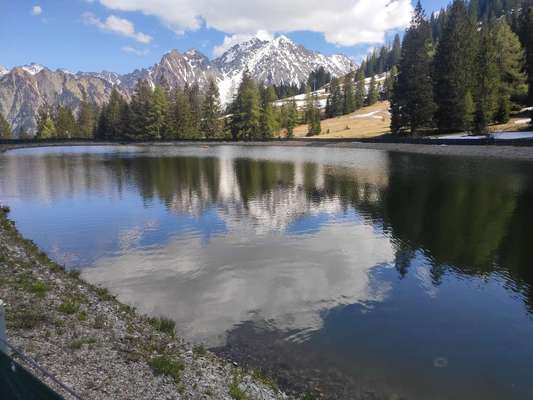 Die wunderschöne Welt mit Hund.-Beitrag-Bild