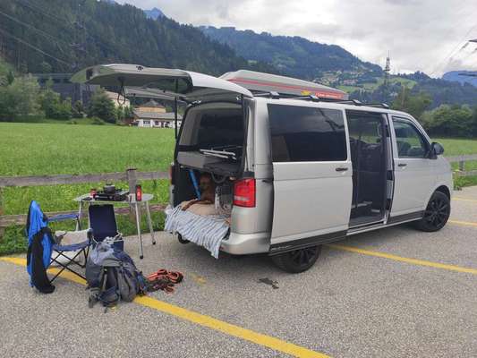 Die wunderschöne Welt mit Hund.-Beitrag-Bild