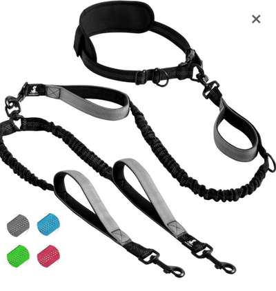 Panik beim Gassi gehen-Beitrag-Bild