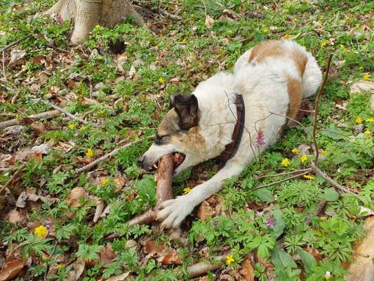 Foto Challenge Nr. 79-Beitrag-Bild