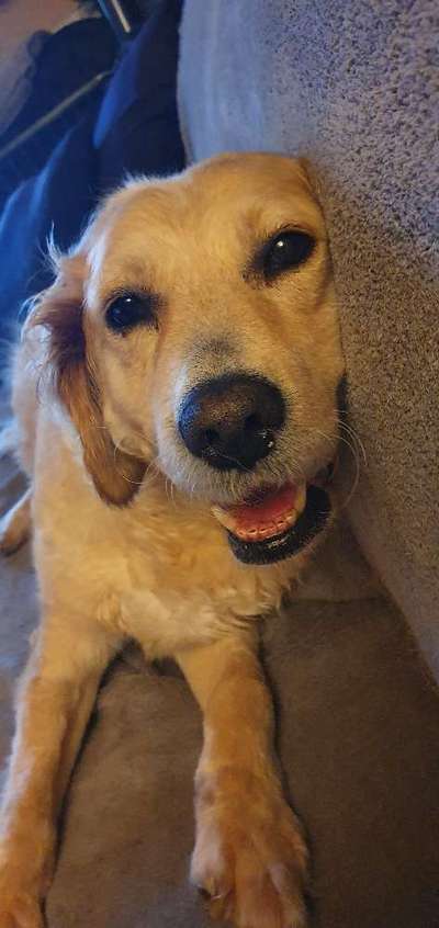 Zeigt mir die tollste Nahaufnahme von eurer Fellnase-Beitrag-Bild