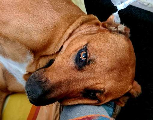 Zeigt eure Portraits-Beitrag-Bild