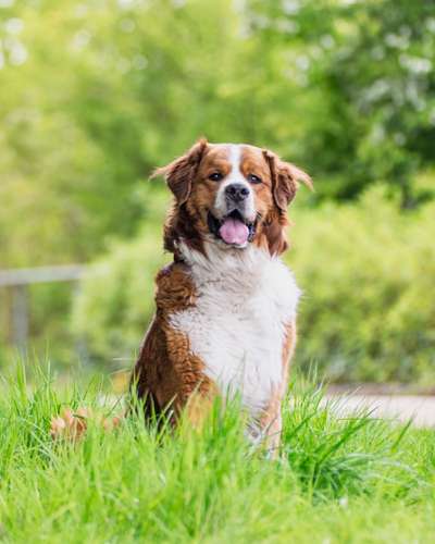 Doppelgänger gesucht !-Beitrag-Bild