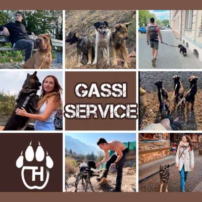 Giftköder-Gassi-Service / Dogwalker Sachsenweit-Bild