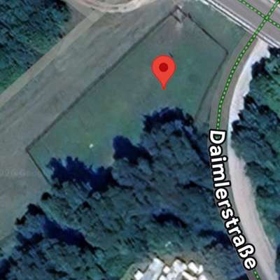 Hundetreffen-Spieltreffen auf dem umzäunten Hundespielplatz in BUL-Bild