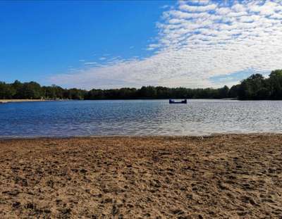 Hundeauslaufgebiet-Silbersee-Bild