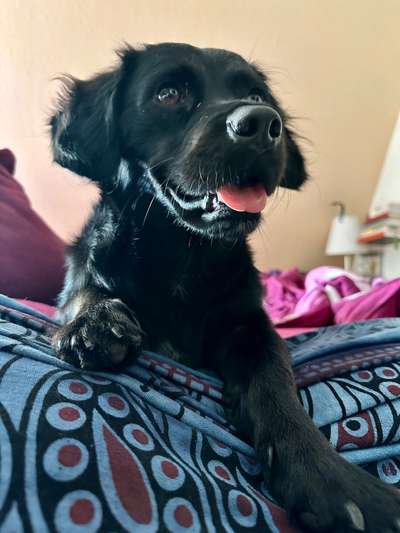 149. Foto Challenge: Wer ist hier der Boss!-Beitrag-Bild