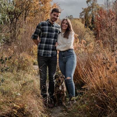 Hundetreffen-Hunde/Menschen Bekanntschaften