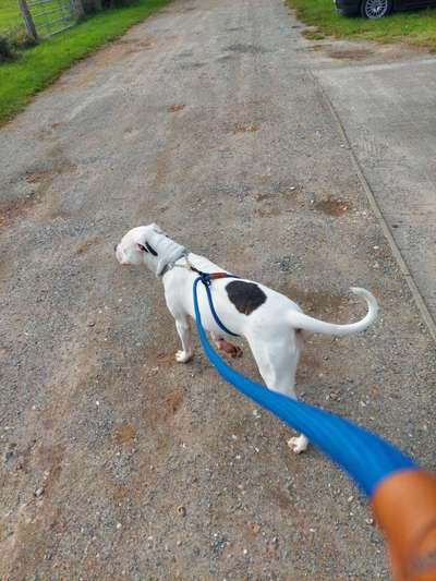 Der Gewichts-Thread-Beitrag-Bild