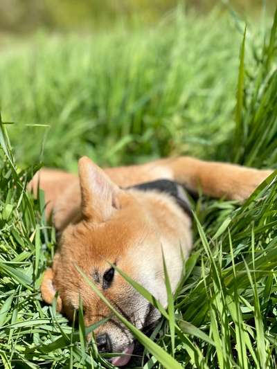 Lieblingsbild :D-Beitrag-Bild