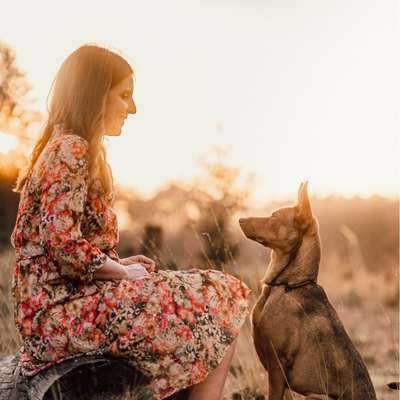 Giftköder-Mensch-Hund-Coaching-Bild