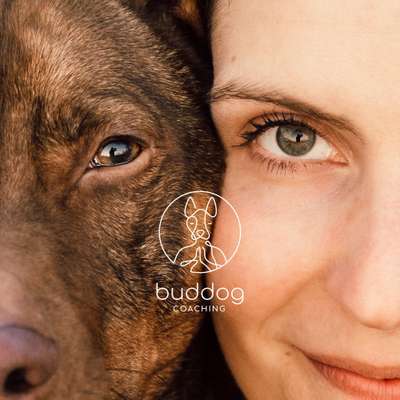 Hundeschulen-Buddog Coaching-Bild