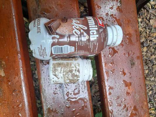 Challenge – Gassi & Clean-Beitrag-Bild