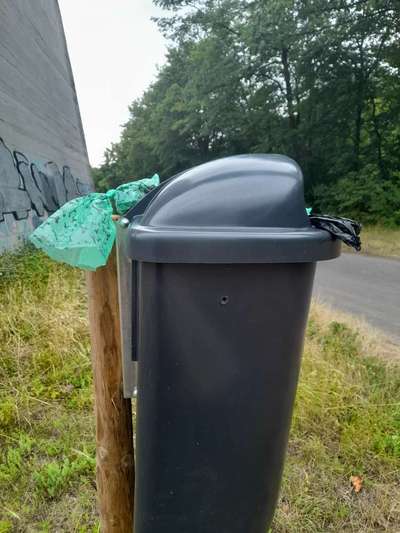 Challenge – Gassi & Clean-Beitrag-Bild