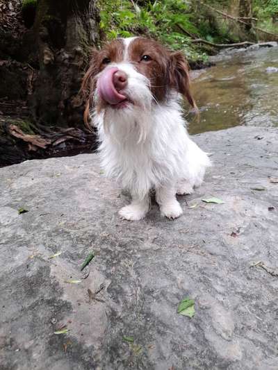 Tongue Out Tuesday-Beitrag-Bild