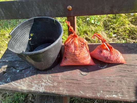 Challenge – Gassi & Clean-Beitrag-Bild