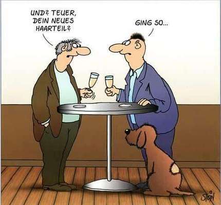 Hunde Memes-Beitrag-Bild