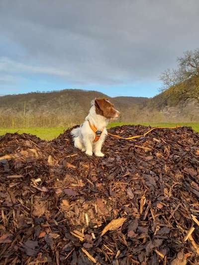 Fotochallenge Nr 107-Beitrag-Bild