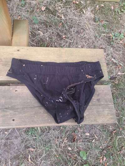 Challenge – Gassi & Clean-Beitrag-Bild