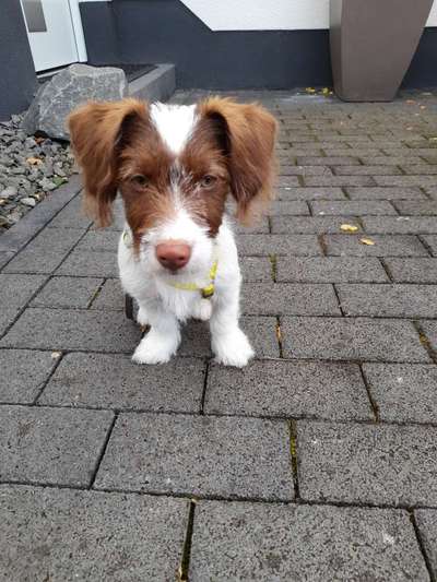 Fotochallange Nr. 57     PORTRÄT.   Beendet!!!!!!!!-Beitrag-Bild