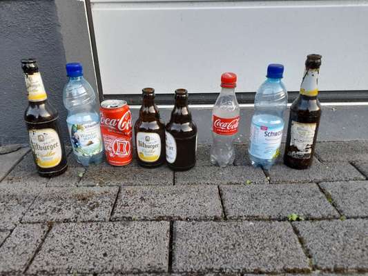 Challenge – Gassi & Clean-Beitrag-Bild